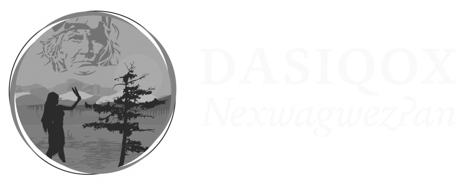 Dasiqox logo